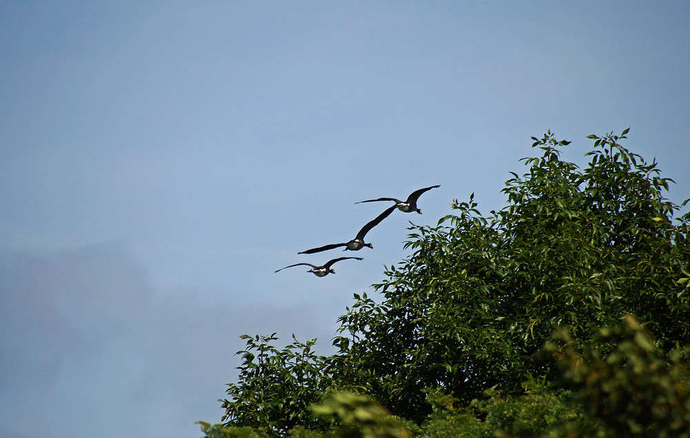 ����� ������� ����� �������  �� PhotoGeek.ru #�������� ���