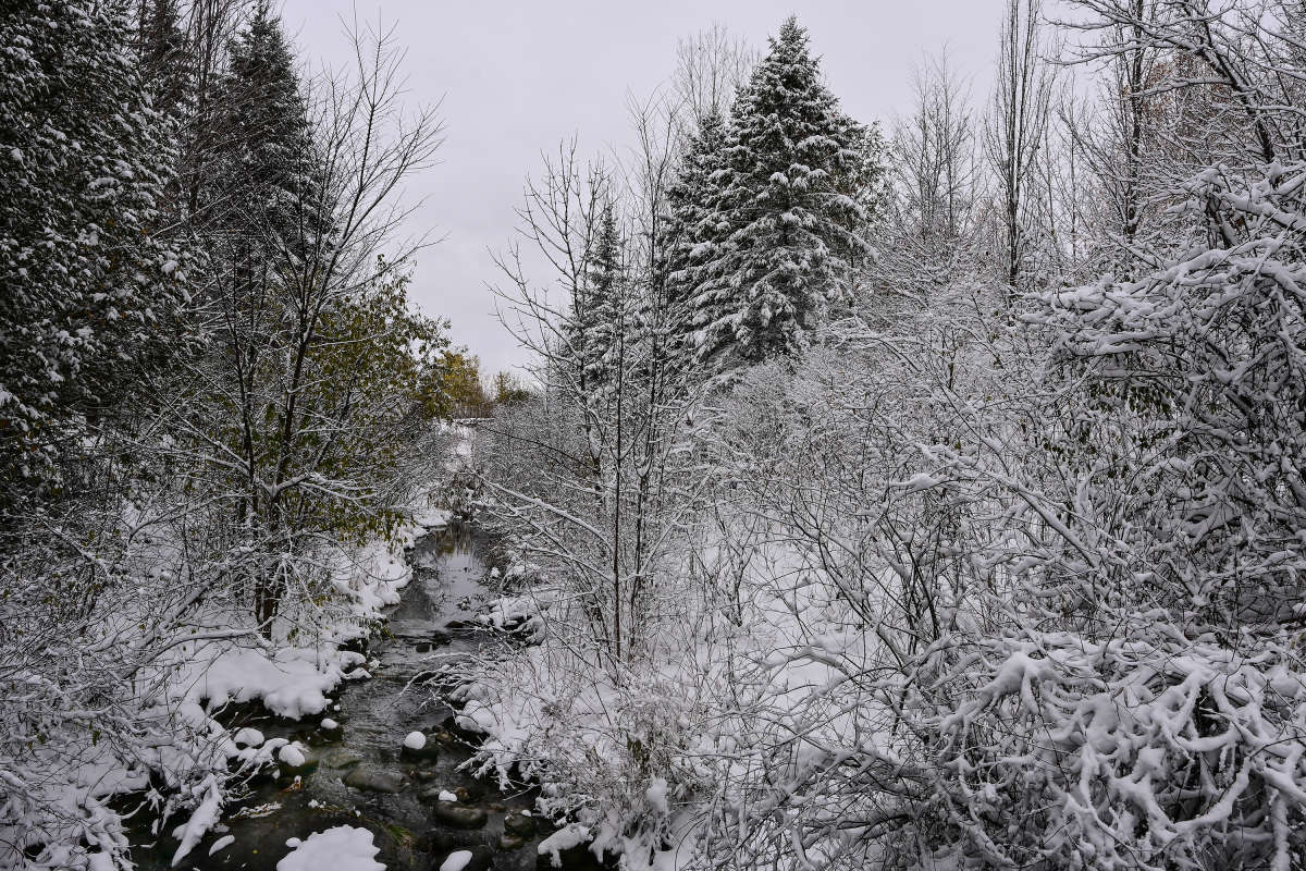 ��� � ���������� ����� �������  �� PhotoGeek.ru #������ ��� �������