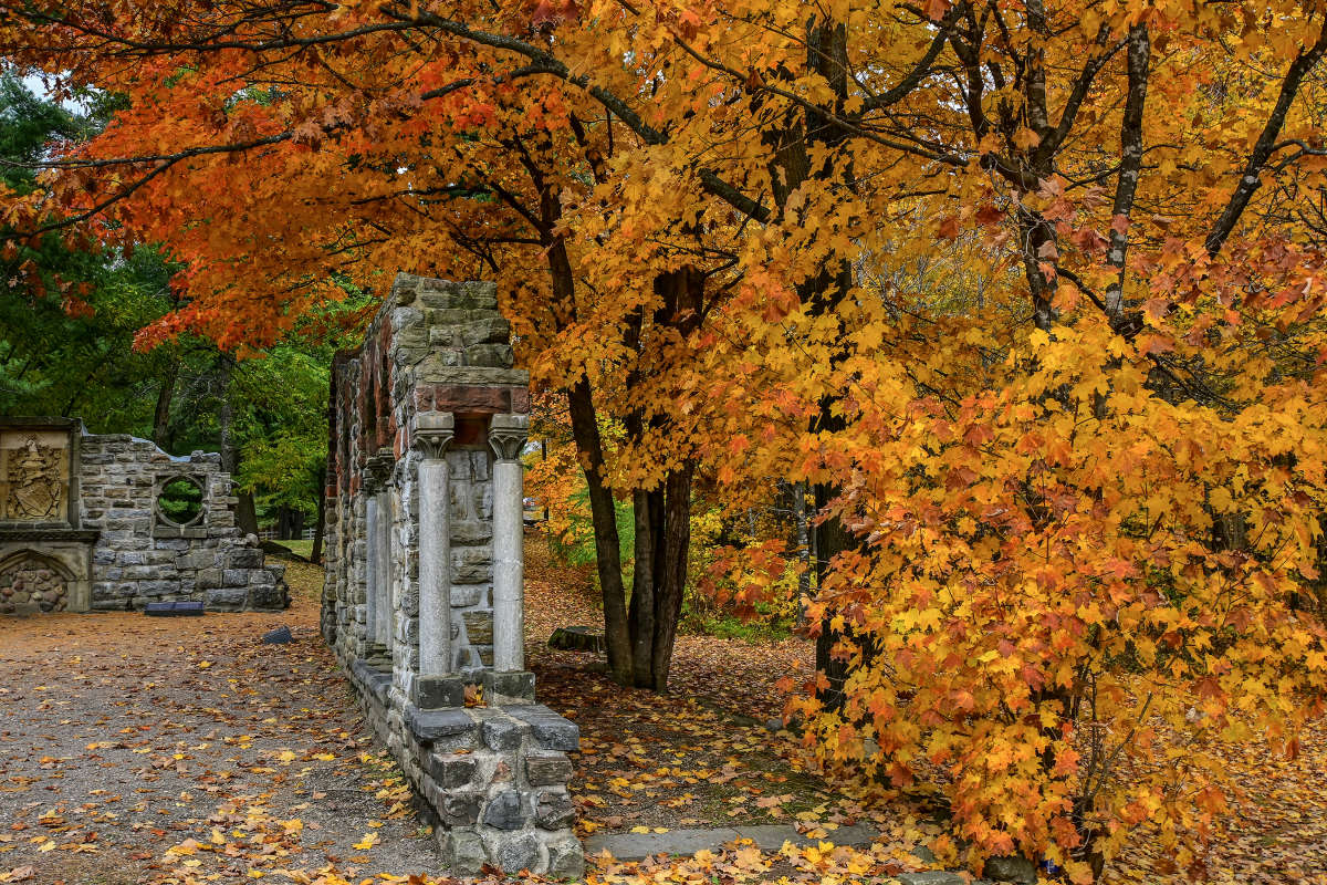 ����������� ��������� ����� ����� �������  �� PhotoGeek.ru #�������� ����������