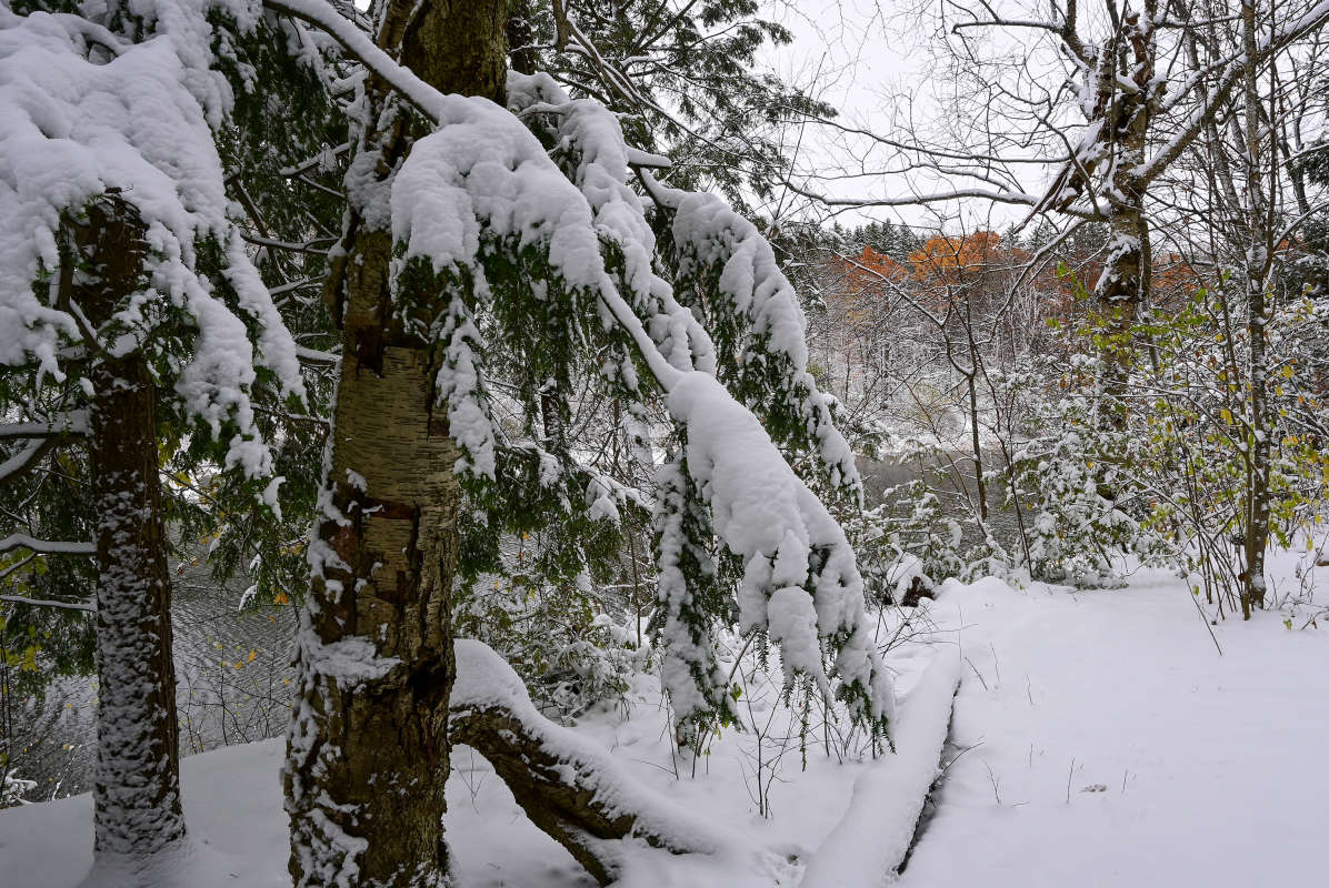 ����� ��� ���� ����� �������  �� PhotoGeek.ru #������ ��� �������