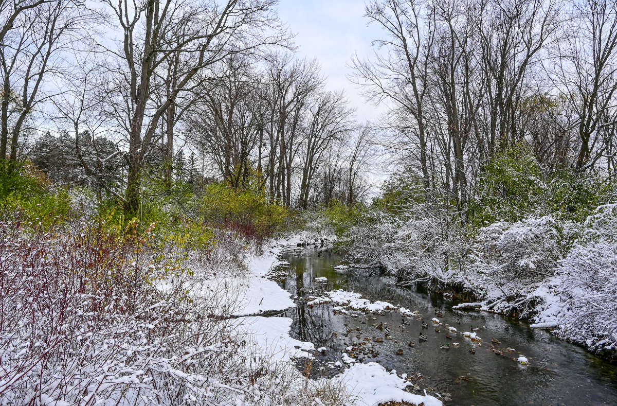 ���� ������ ����� �������  �� PhotoGeek.ru #�������� ��� #������ ��� �������