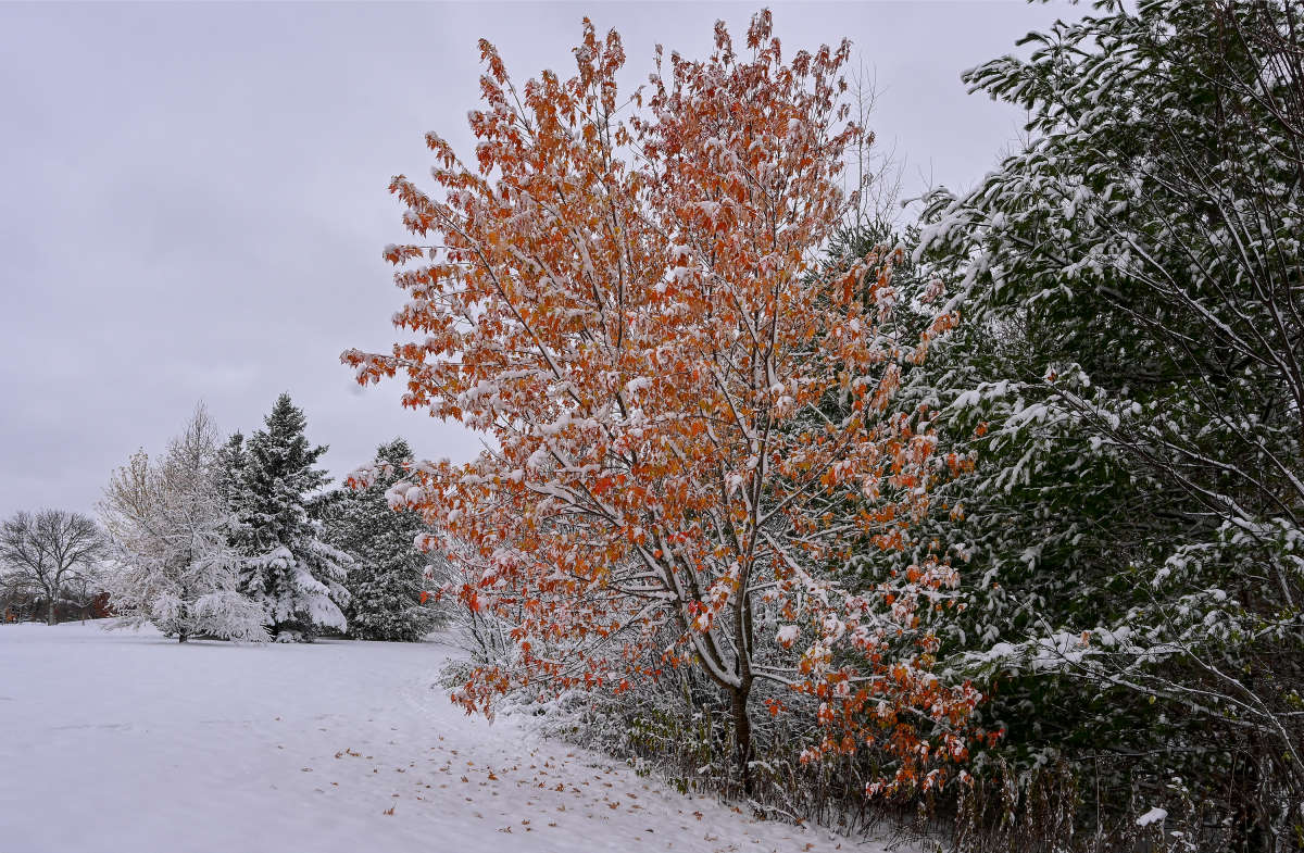 ������������� ���������� ����� �������  �� PhotoGeek.ru #������ ��� �������