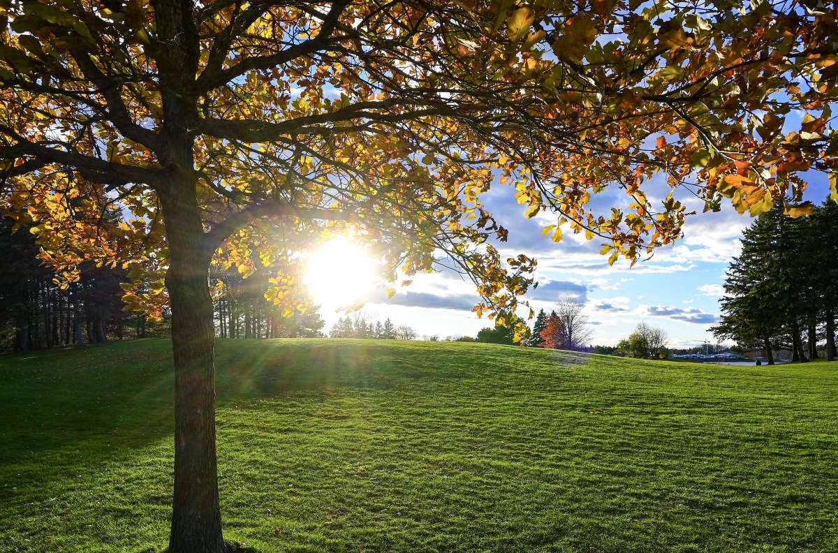 ������� ������ ������ ������� ����� �������  �� PhotoGeek.ru #������ ��� �������