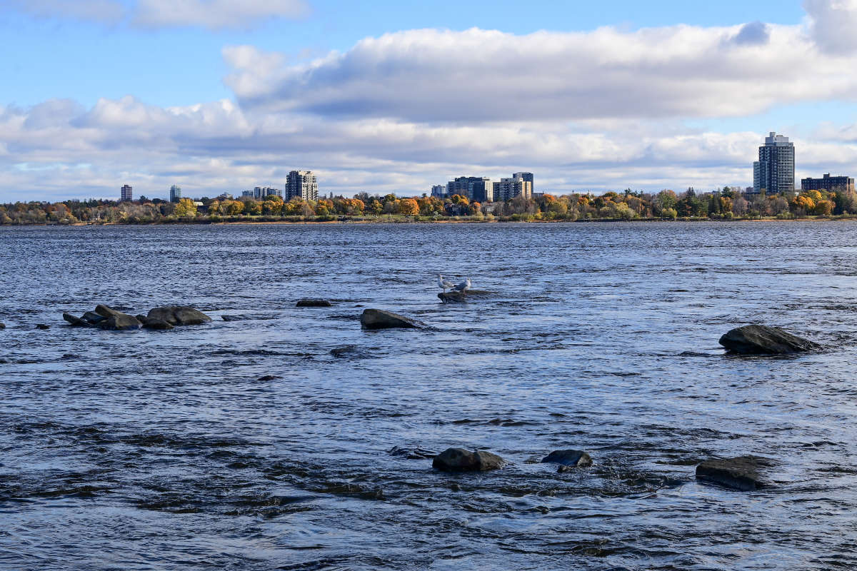 �������� ������ ����� �������  �� PhotoGeek.ru #����� #������ ��� �������