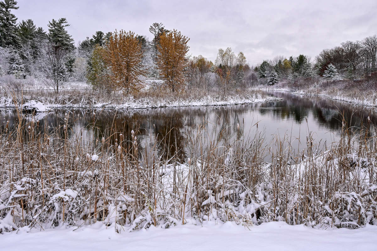 ���������� ���� �� ����� ����� �������  �� PhotoGeek.ru #������ ��� �������