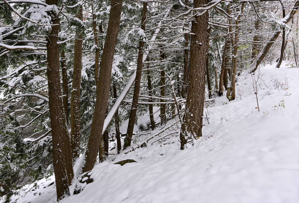 �� ������������� ��... ����� �������  �� PhotoGeek.ru #������ ��� �������