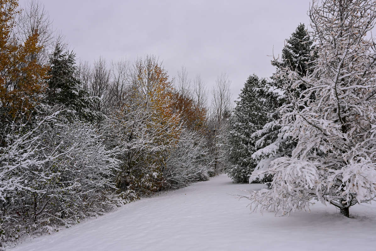 ������������ ������� ����� ����� �������  �� PhotoGeek.ru #������ ��� �������