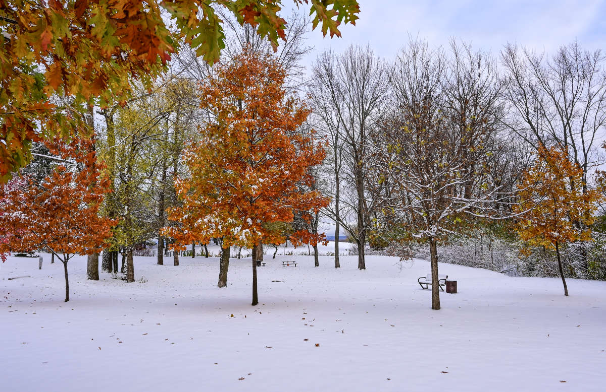 ������ �� ����� ����� �������  �� PhotoGeek.ru #������ ��� �������