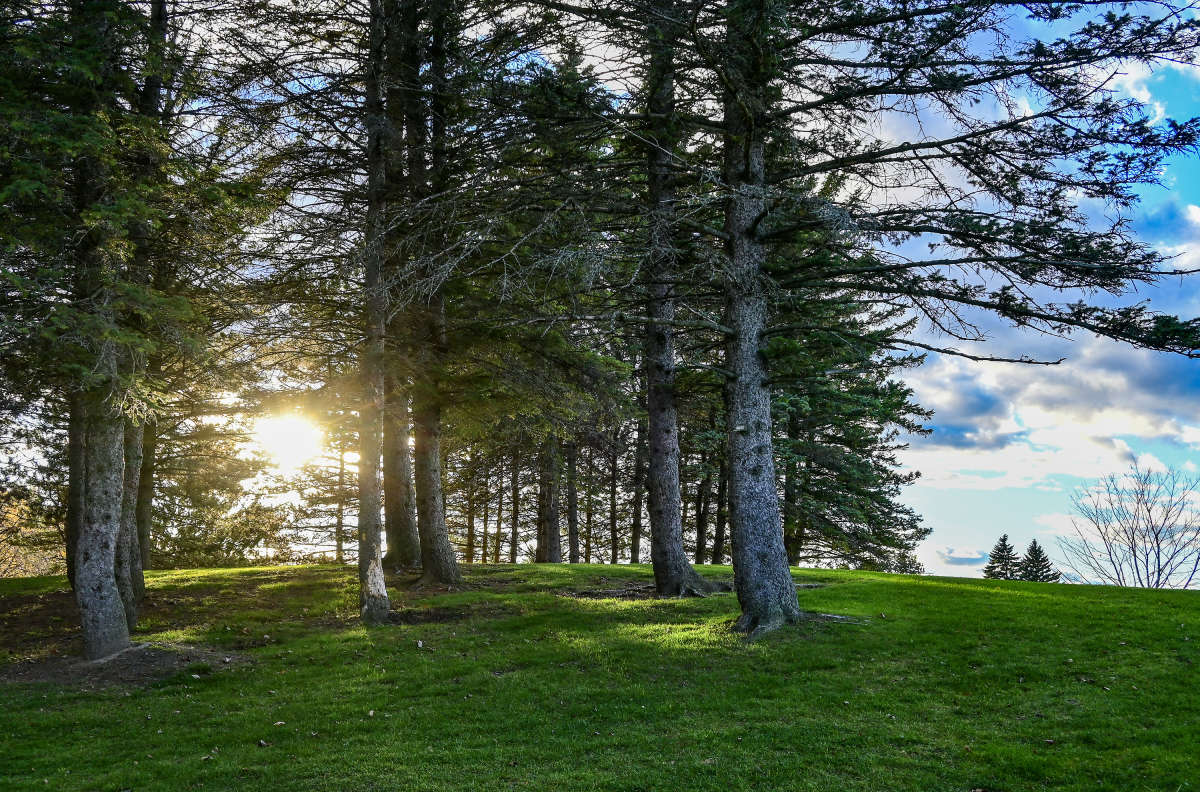 ������� ���� ������ ����� �������  �� PhotoGeek.ru #������ ��� �������