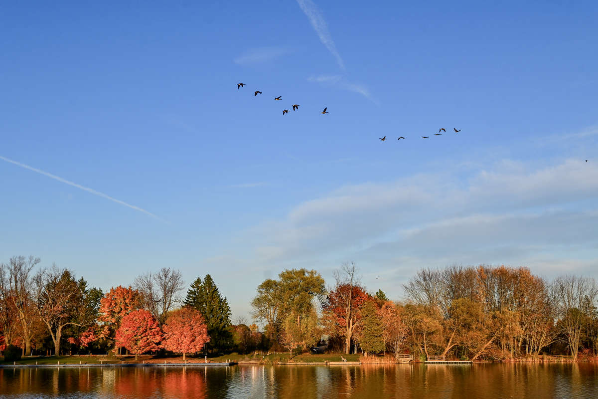 �� ������� ����� ����� �������  �� PhotoGeek.ru #�������� ��� #������ ��� �������