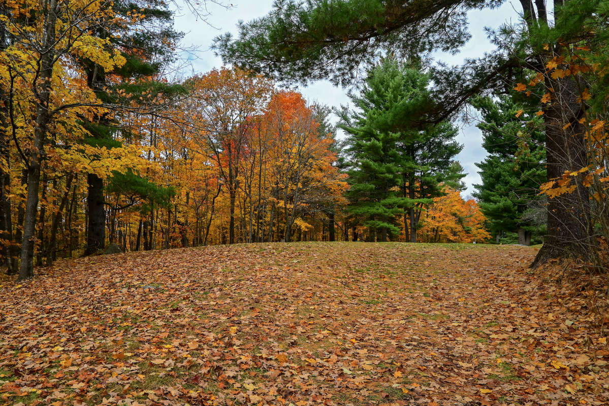 ������ ������ ����� �������  �� PhotoGeek.ru #������ ��� �������