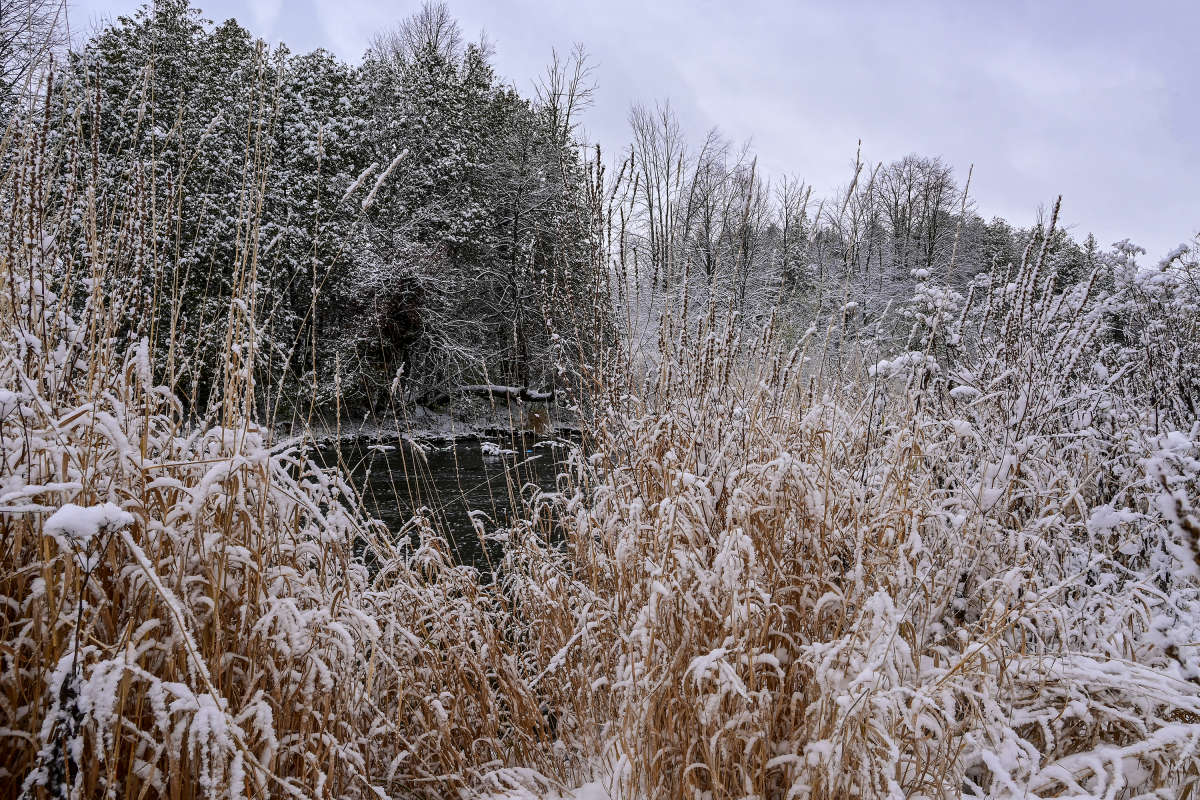 � ���� �� ���������� ����� �������  �� PhotoGeek.ru #������ ��� �������