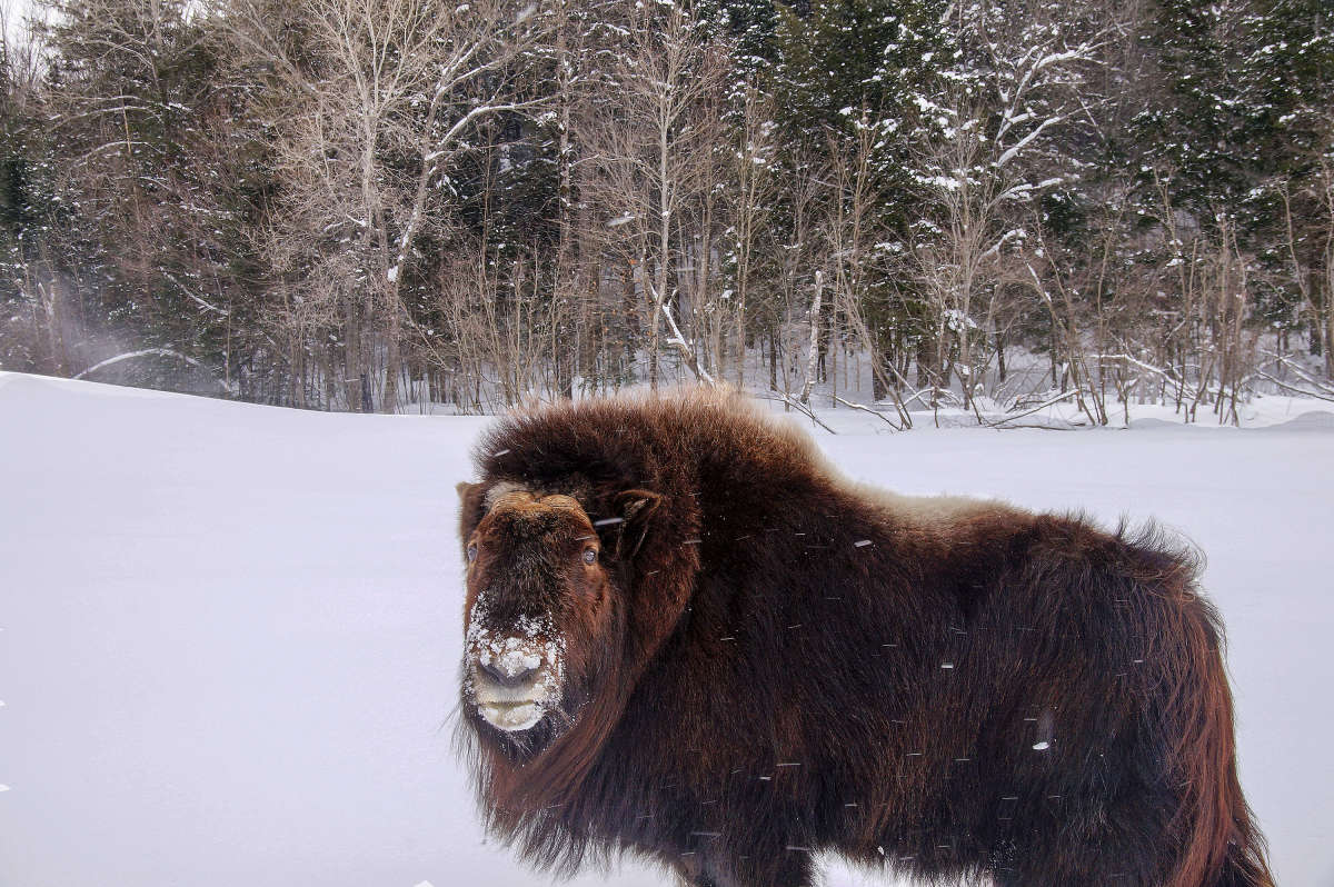 � ��� ������! ����� �������  �� PhotoGeek.ru #�������� ���