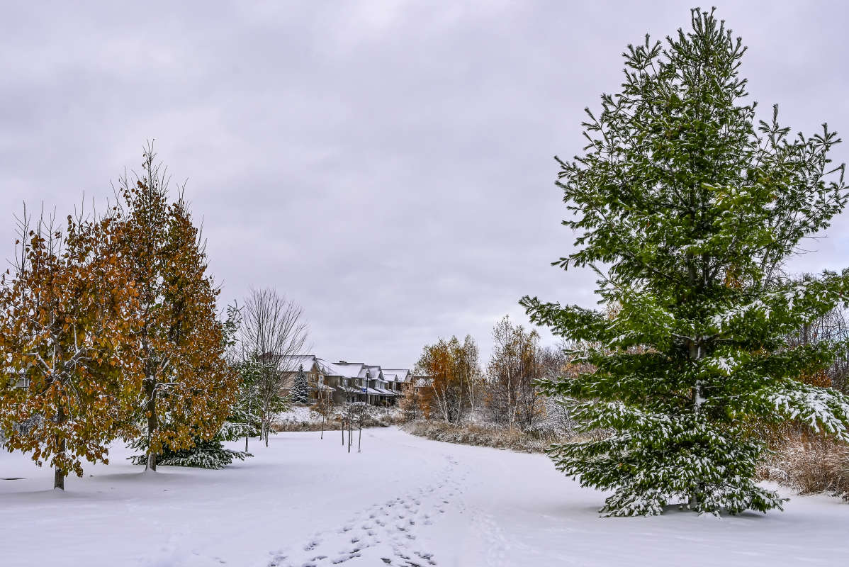 ������ ���� ������� ����� �������  �� PhotoGeek.ru #����� #������ ��� �������