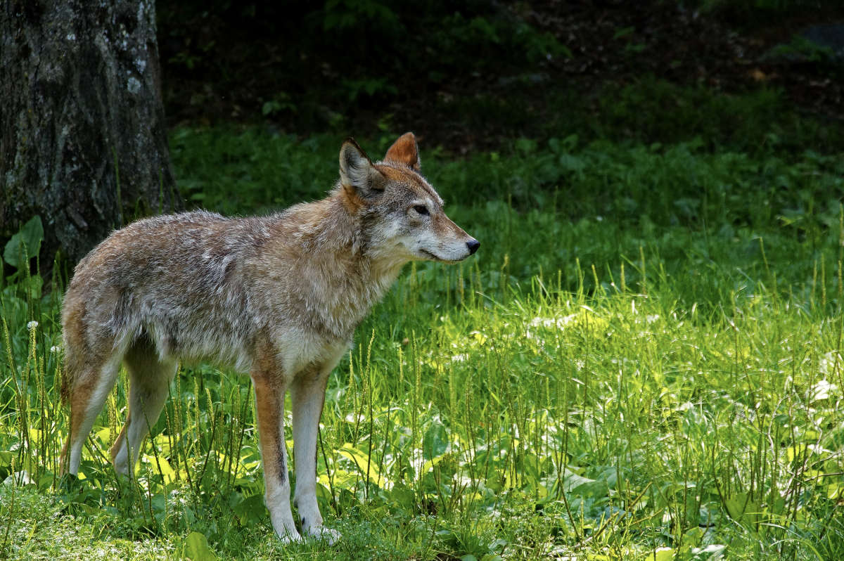 ������� ����� �������  �� PhotoGeek.ru #�������� ���