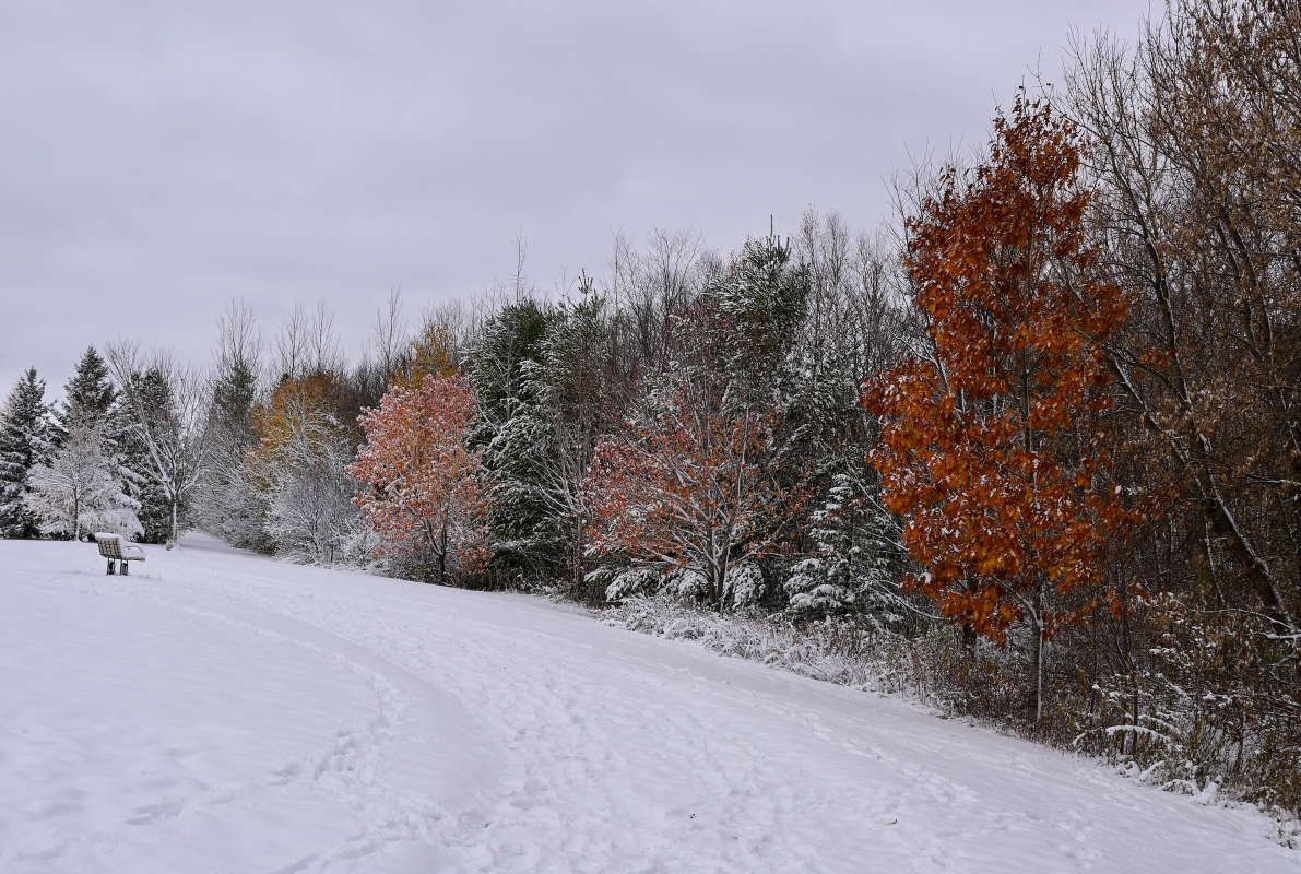 ��������� � ���� �������... ����� �������  �� PhotoGeek.ru #������ ��� �������