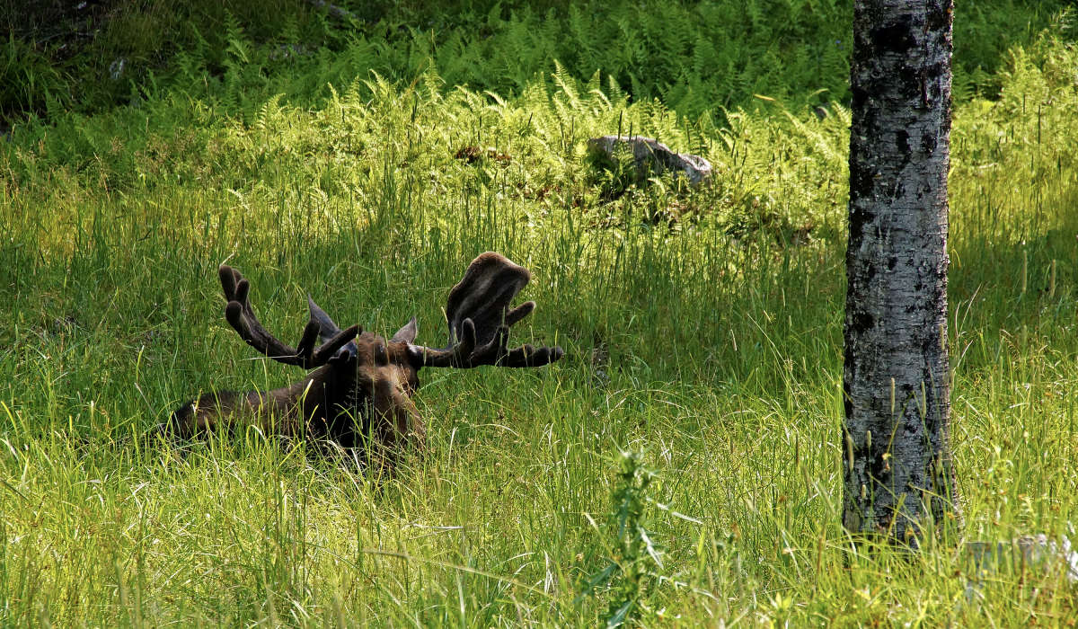 � �������� ����� �������  �� PhotoGeek.ru #�������� ��� #�������� ����������