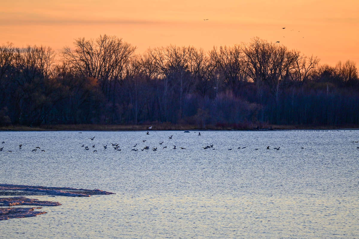 ... ���������� ��� ���� �������... ����� �������  �� PhotoGeek.ru #�������� ��� #������ ��� �������