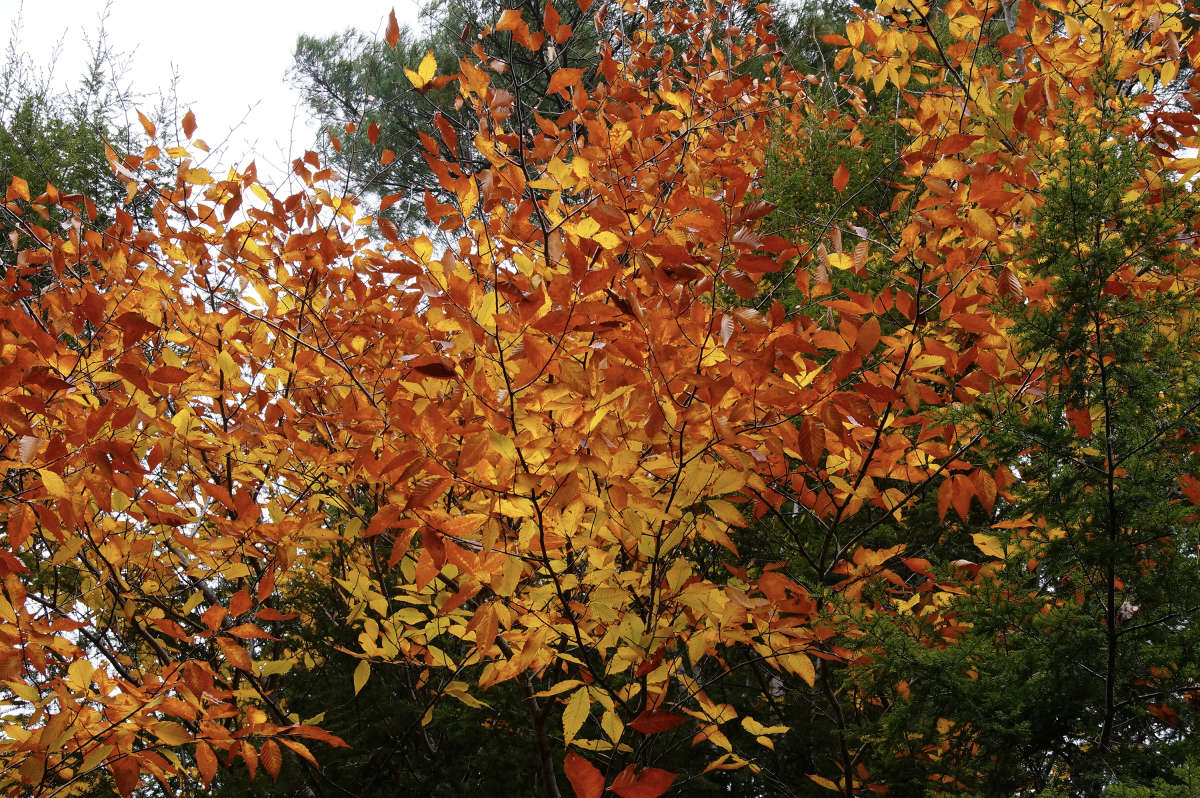 ��, ��� ����� ������� ����� �������  �� PhotoGeek.ru #������ ��� �������