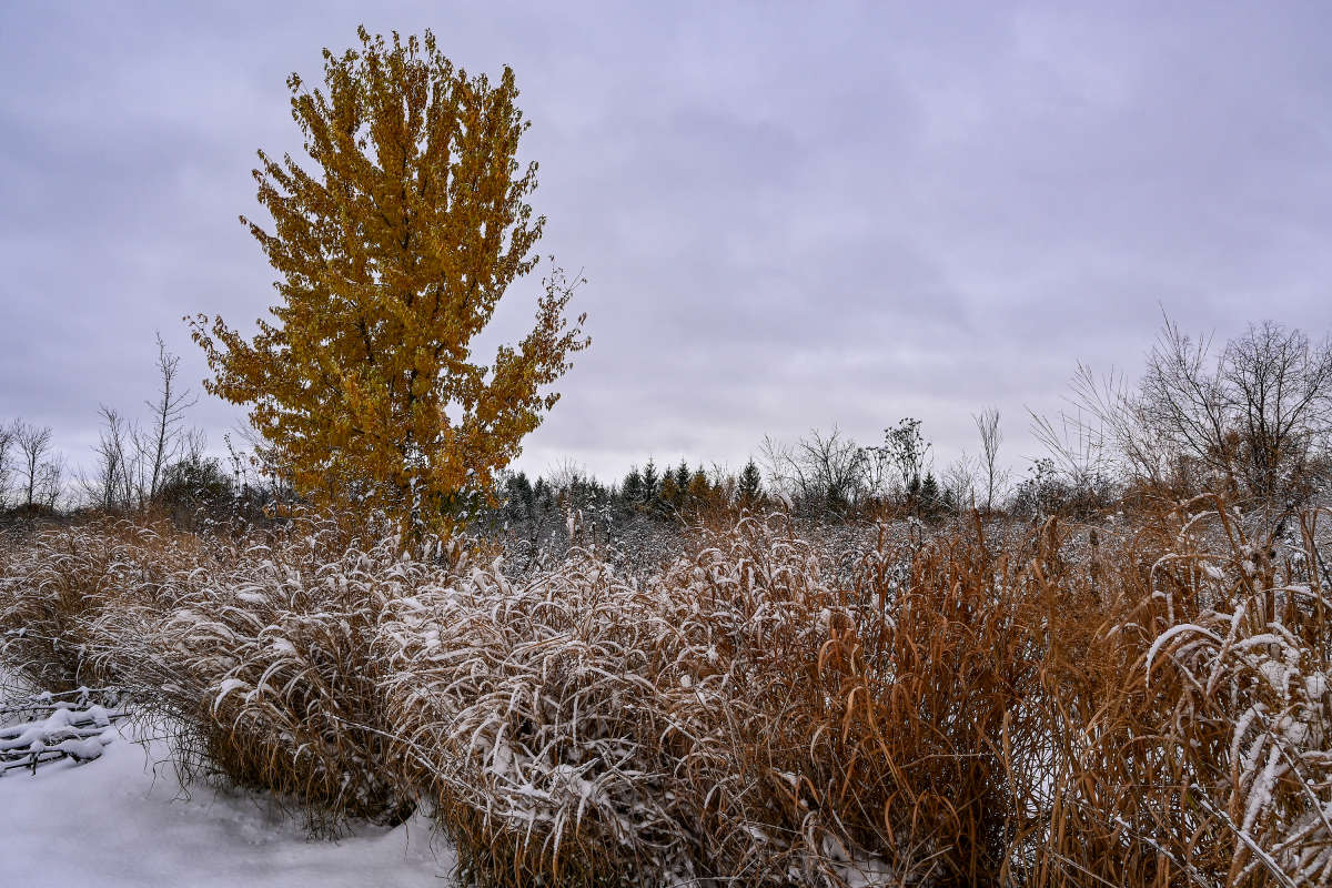 � ������ ������ ����� �������  �� PhotoGeek.ru #������ ��� �������