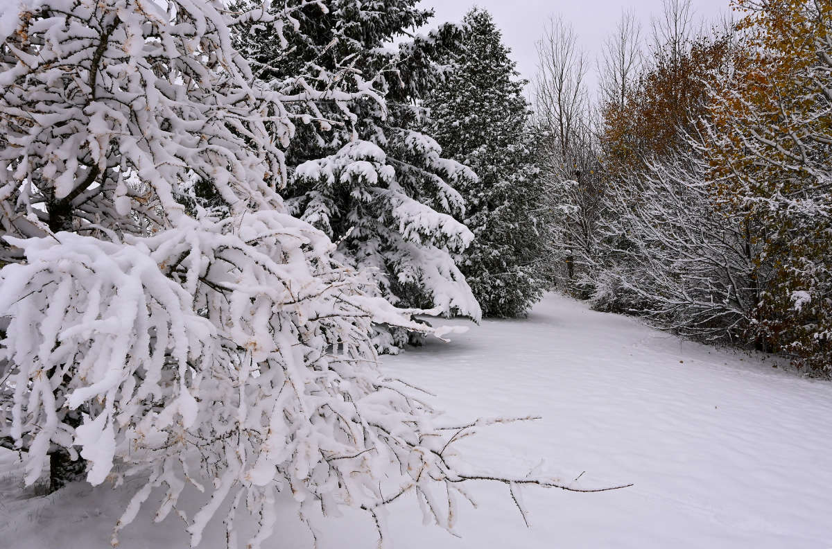 ������ ����� �������  �� PhotoGeek.ru #������ ��� �������