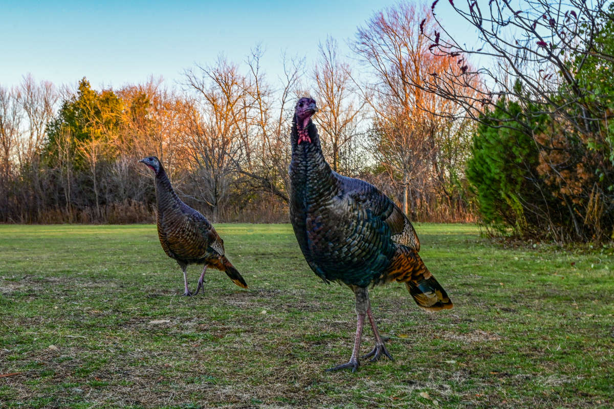 ����������� �������� ����� �������  �� PhotoGeek.ru #�������� ���