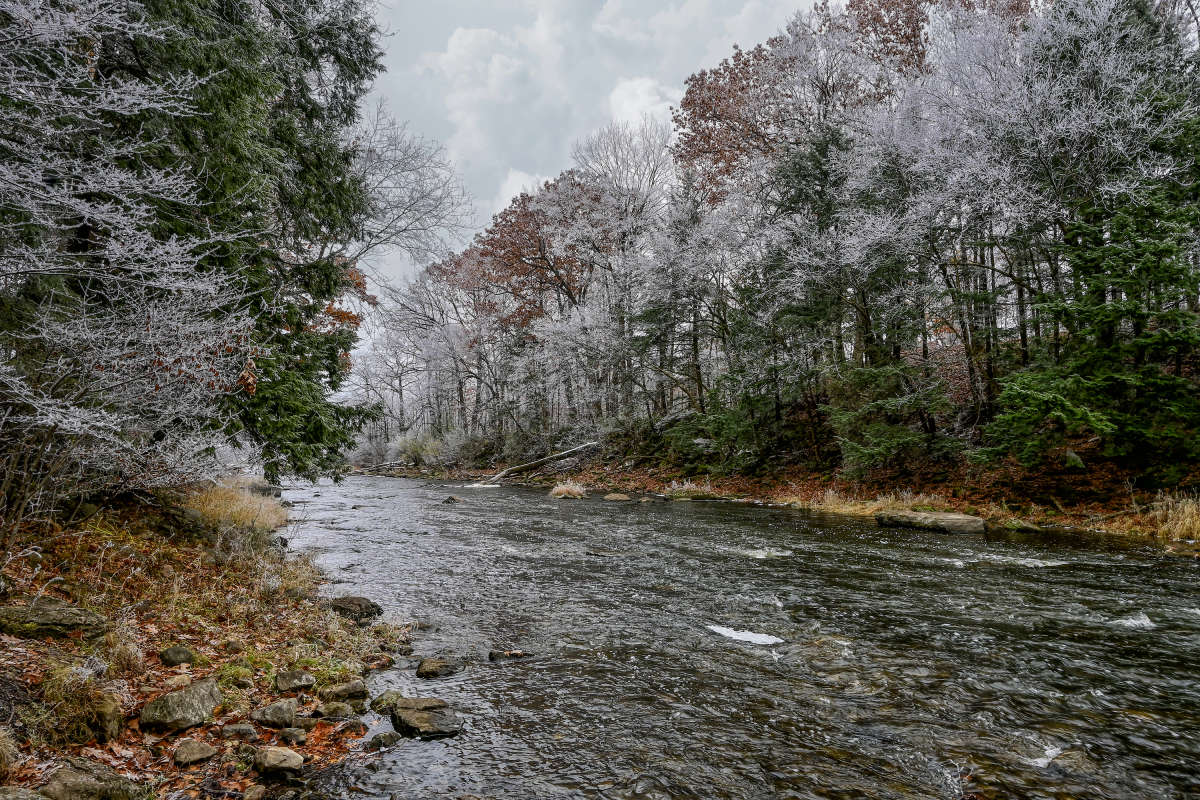 � ����-������ ����� �������  �� PhotoGeek.ru #������ ��� �������