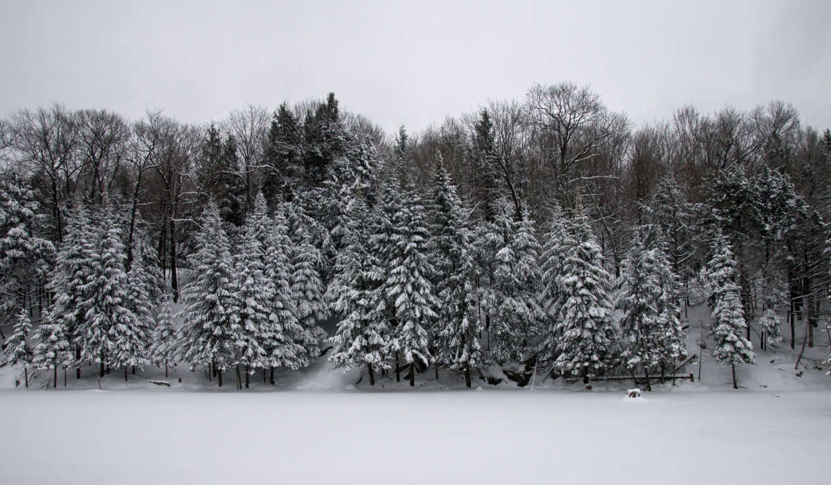 �������� ��������� ����� �������  �� PhotoGeek.ru #������ ��� �������