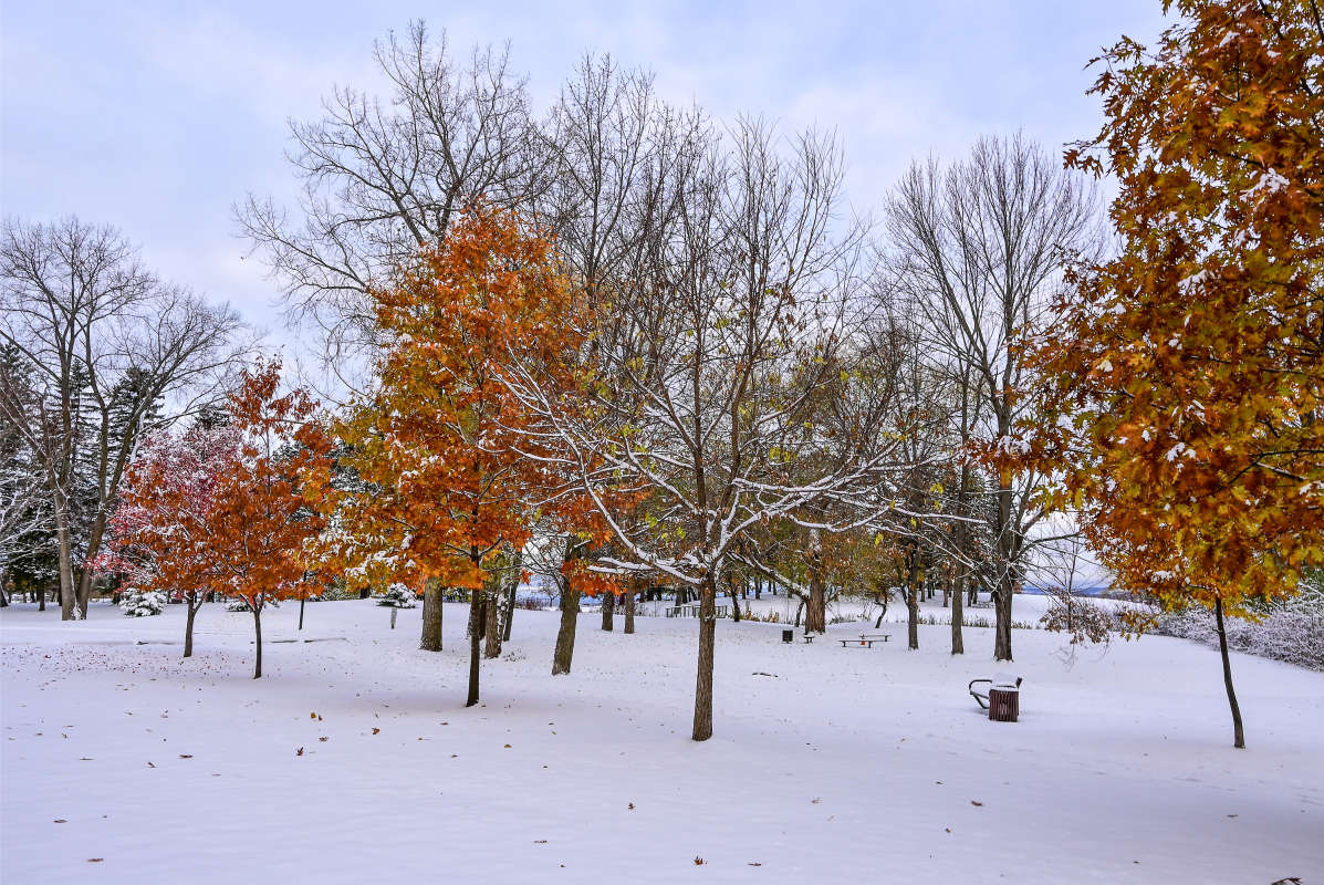 ��������� ���� ����� ����� �������  �� PhotoGeek.ru #������ ��� �������