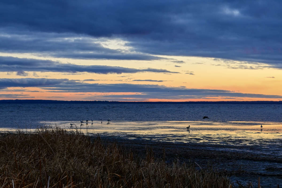 ������� ���� � ���� ����� �������  �� PhotoGeek.ru #������ ��� �������