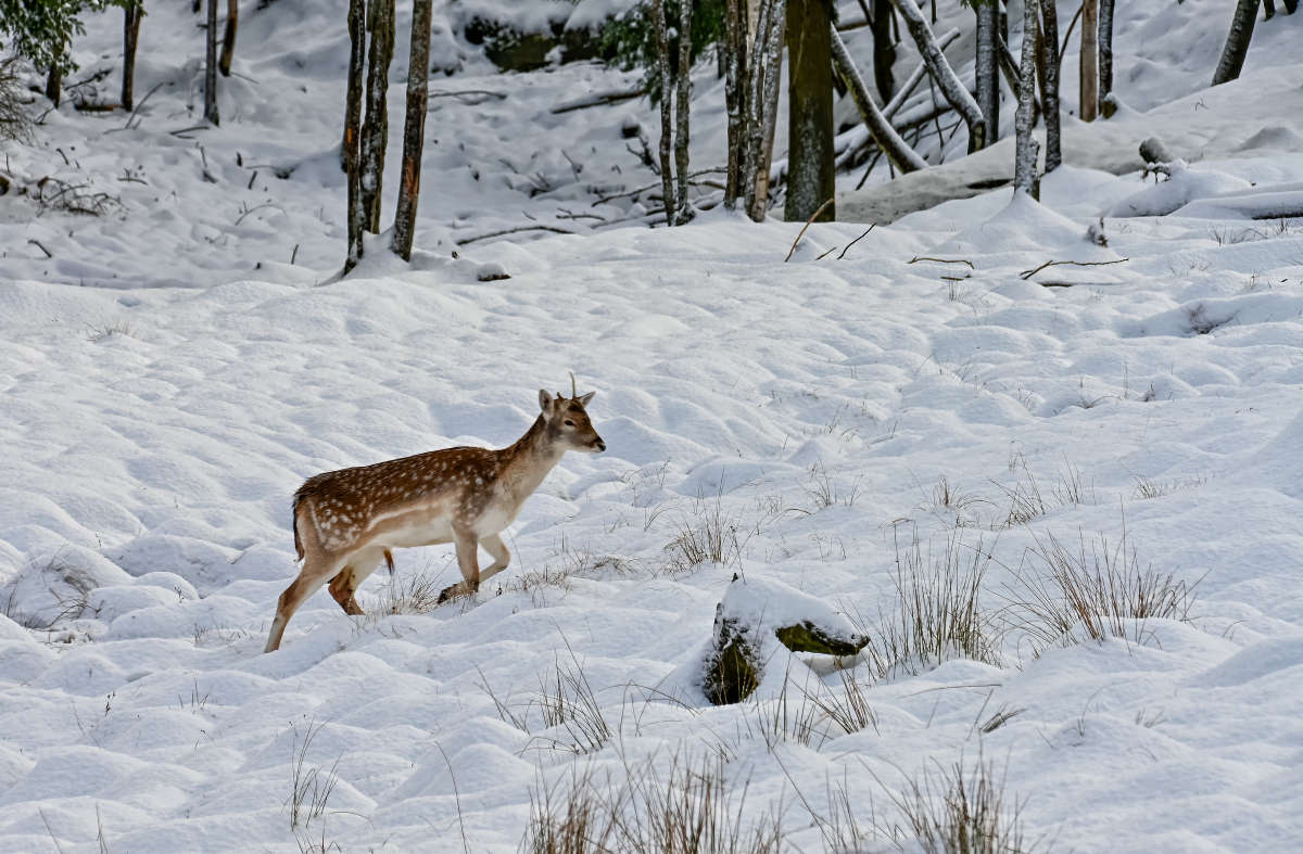 �� ��������� ������ ����� �������  �� PhotoGeek.ru #�������� ���