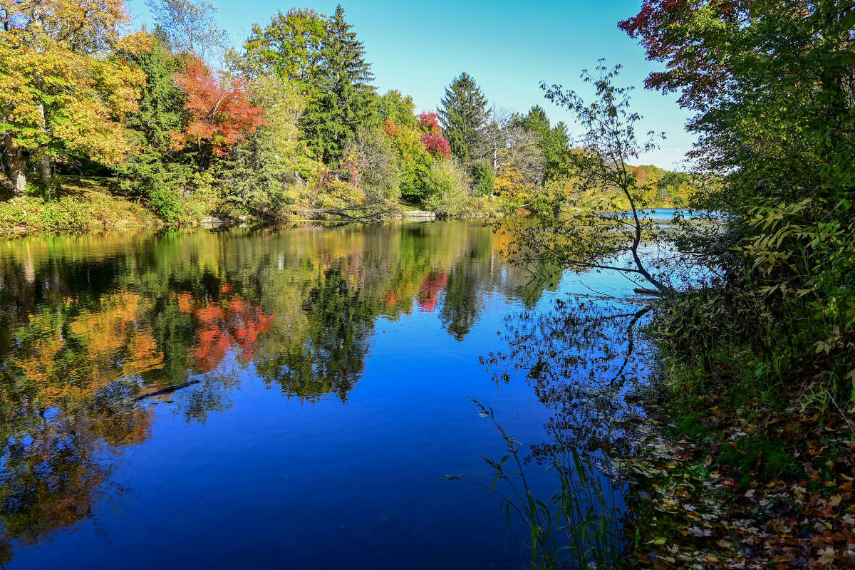 ����� �� ������� ���� ����� �������  �� PhotoGeek.ru #������ ��� �������