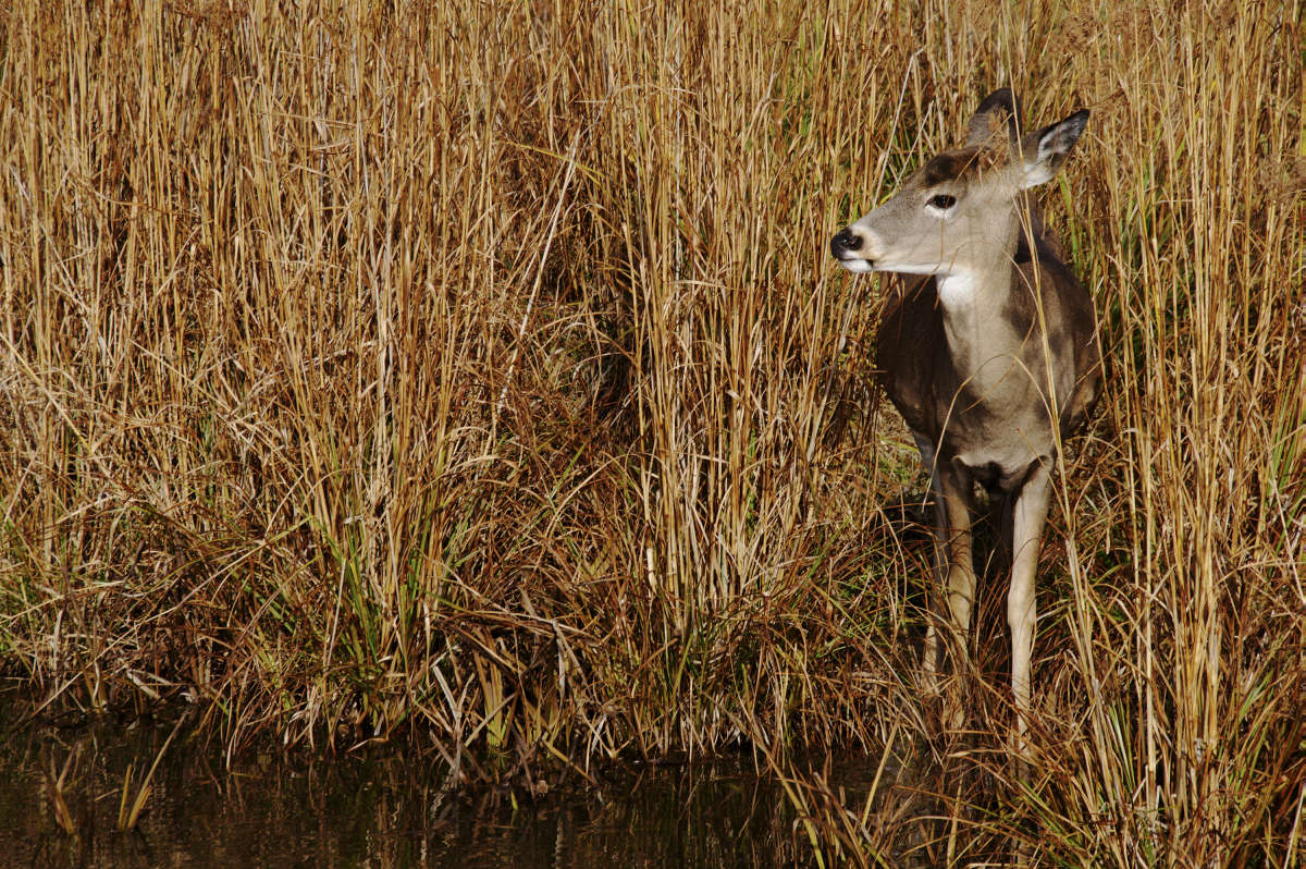 � ����� ����� �������� ����� �������  �� PhotoGeek.ru #�������� ���