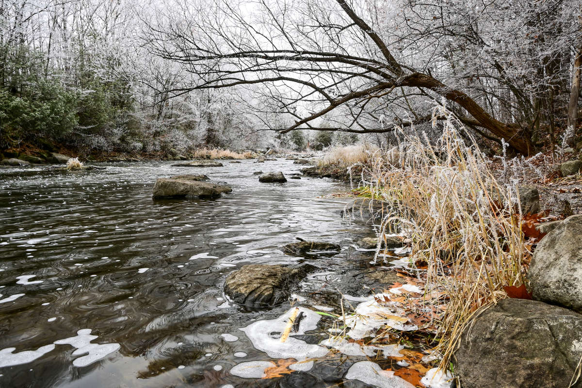 ��� ��������� ����� �������  �� PhotoGeek.ru #������ ��� �������