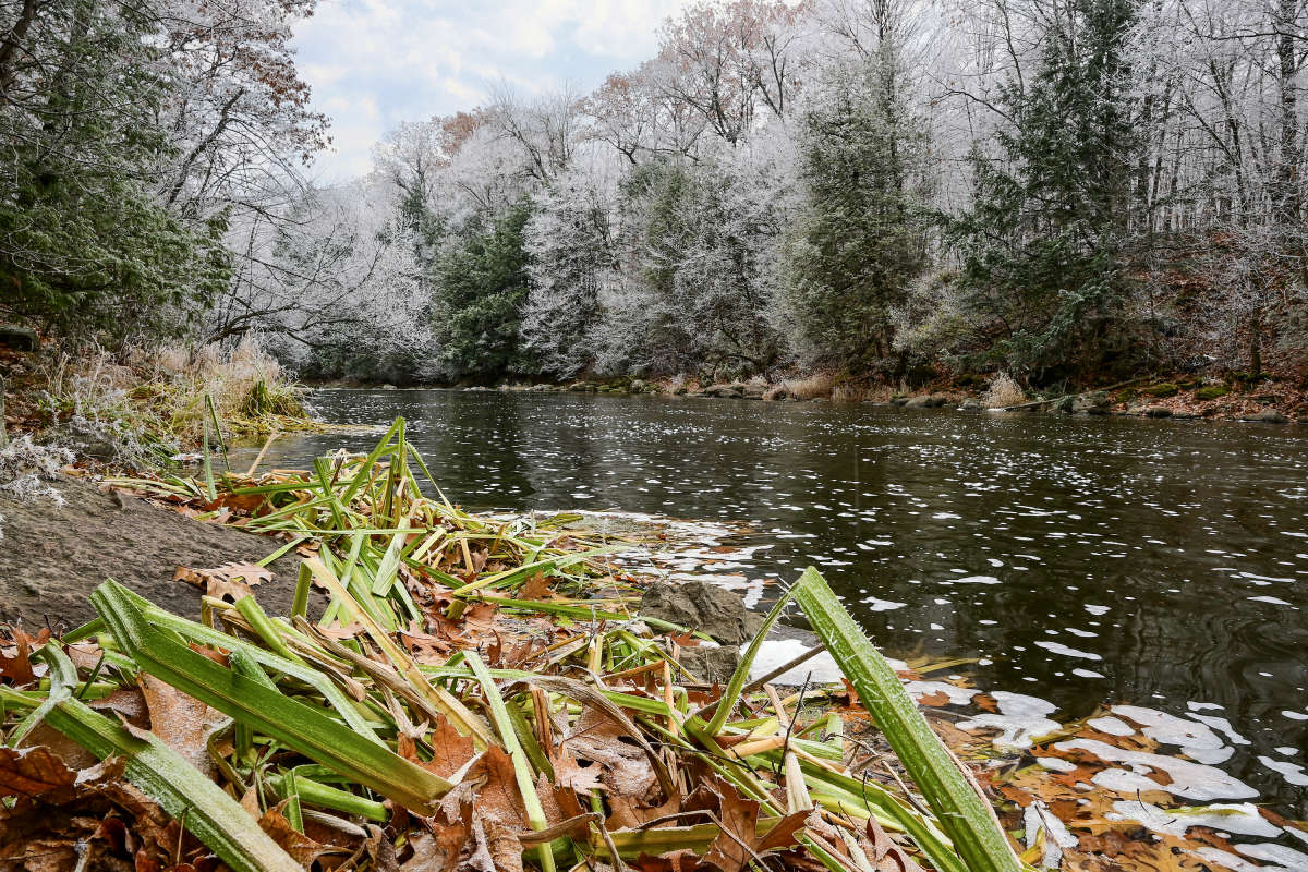 ���� ����� �� ����� ����� �������  �� PhotoGeek.ru #������ ��� �������