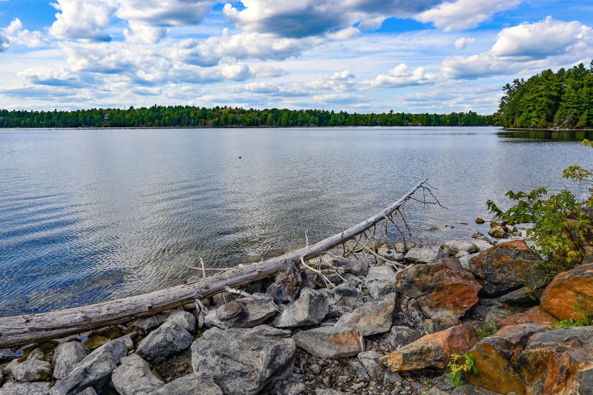 �������� ������ ����� �������  �� PhotoGeek.ru #������ ��� �������