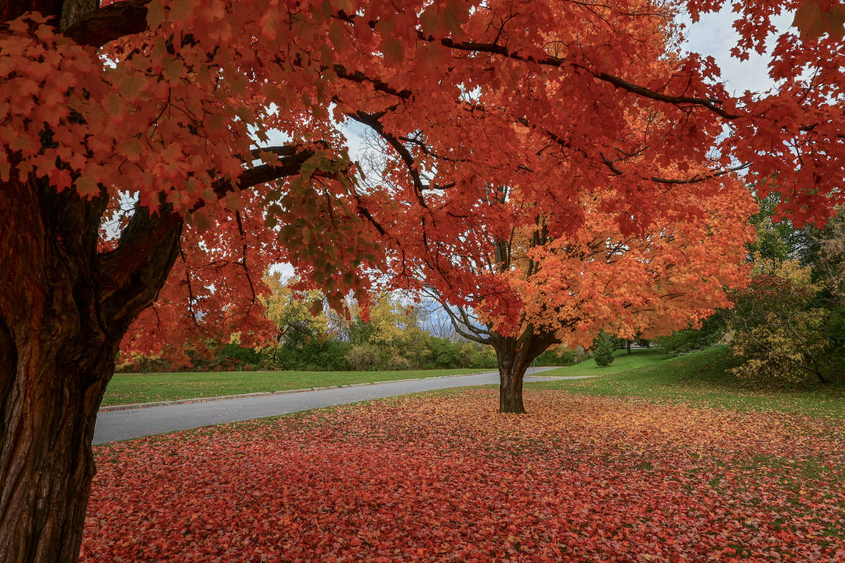 � ����� �������� ����� �������  �� PhotoGeek.ru #������ ��� �������