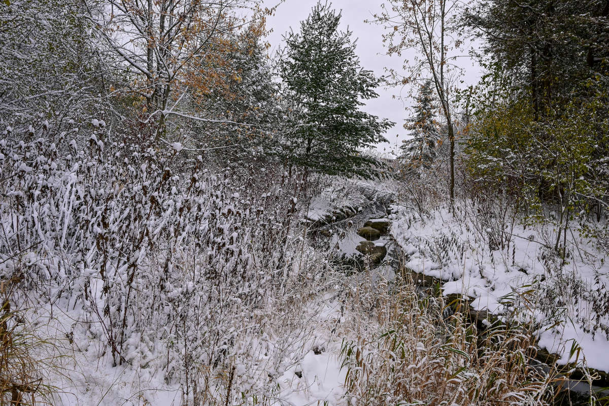 �� �������� � �����! ����� �������  �� PhotoGeek.ru #������ ��� �������