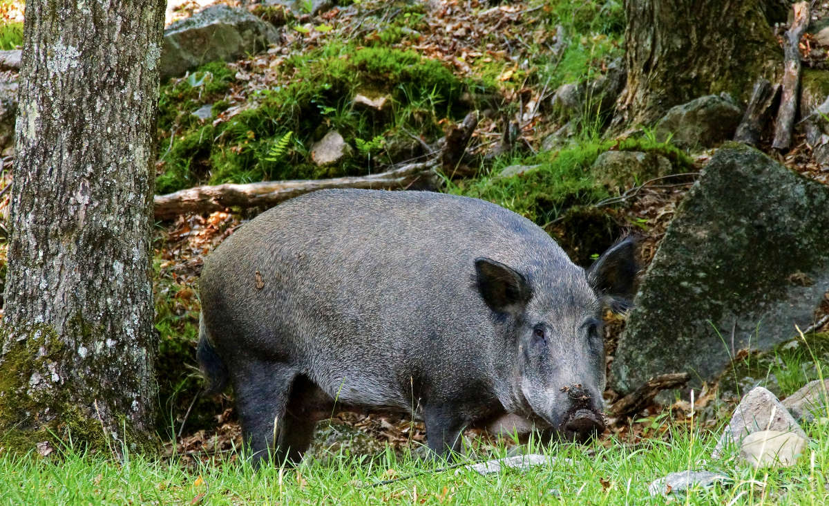 ������� � �������� ����� �������  �� PhotoGeek.ru #�������� ��� #������ ��� �������