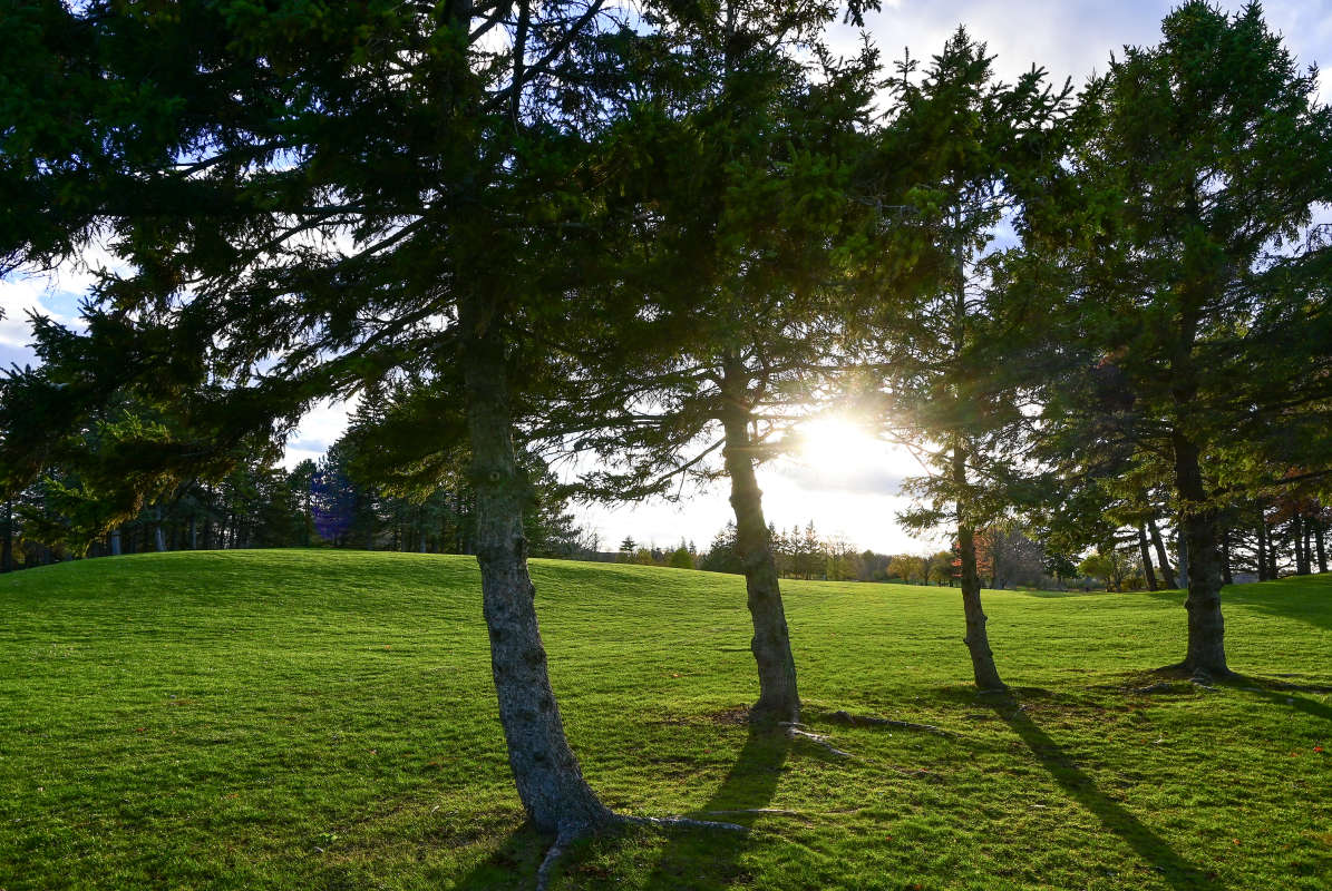 ������ �� ������ ����� �������  �� PhotoGeek.ru #������ ��� �������