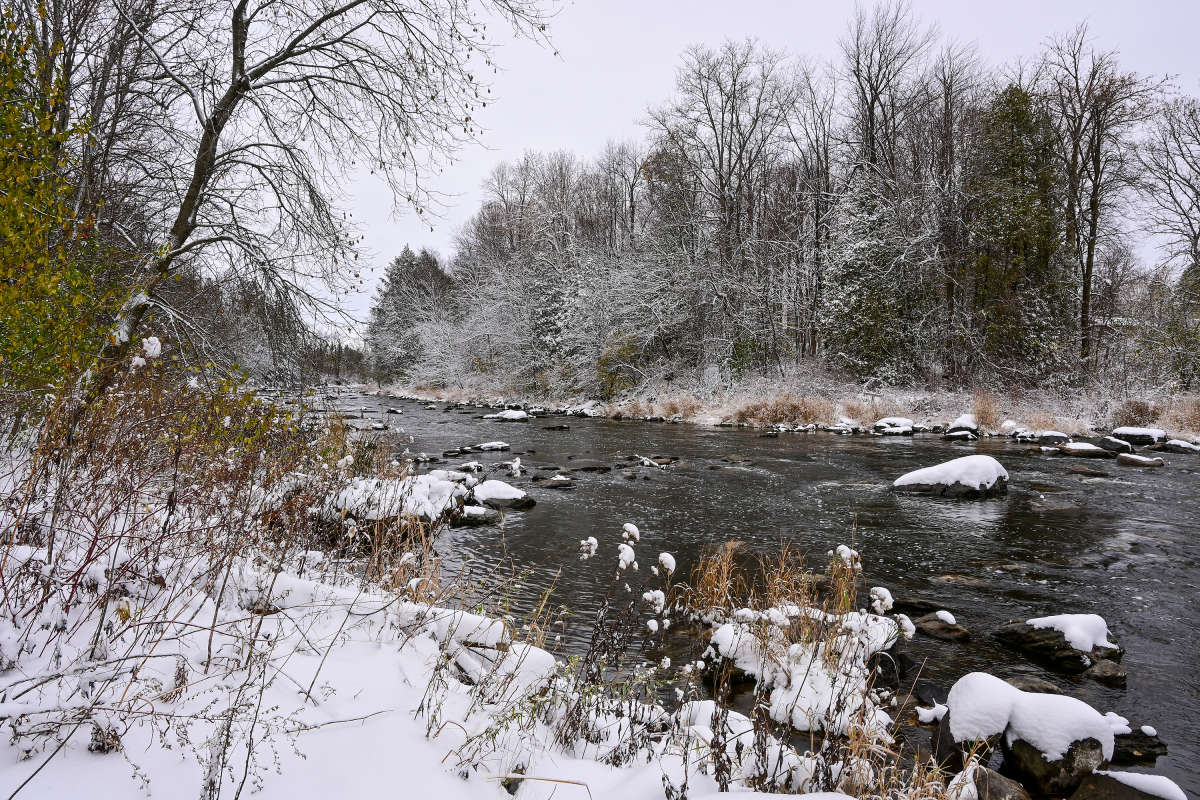 ��������� ���� ���� ����� ����� �������  �� PhotoGeek.ru #������ ��� �������