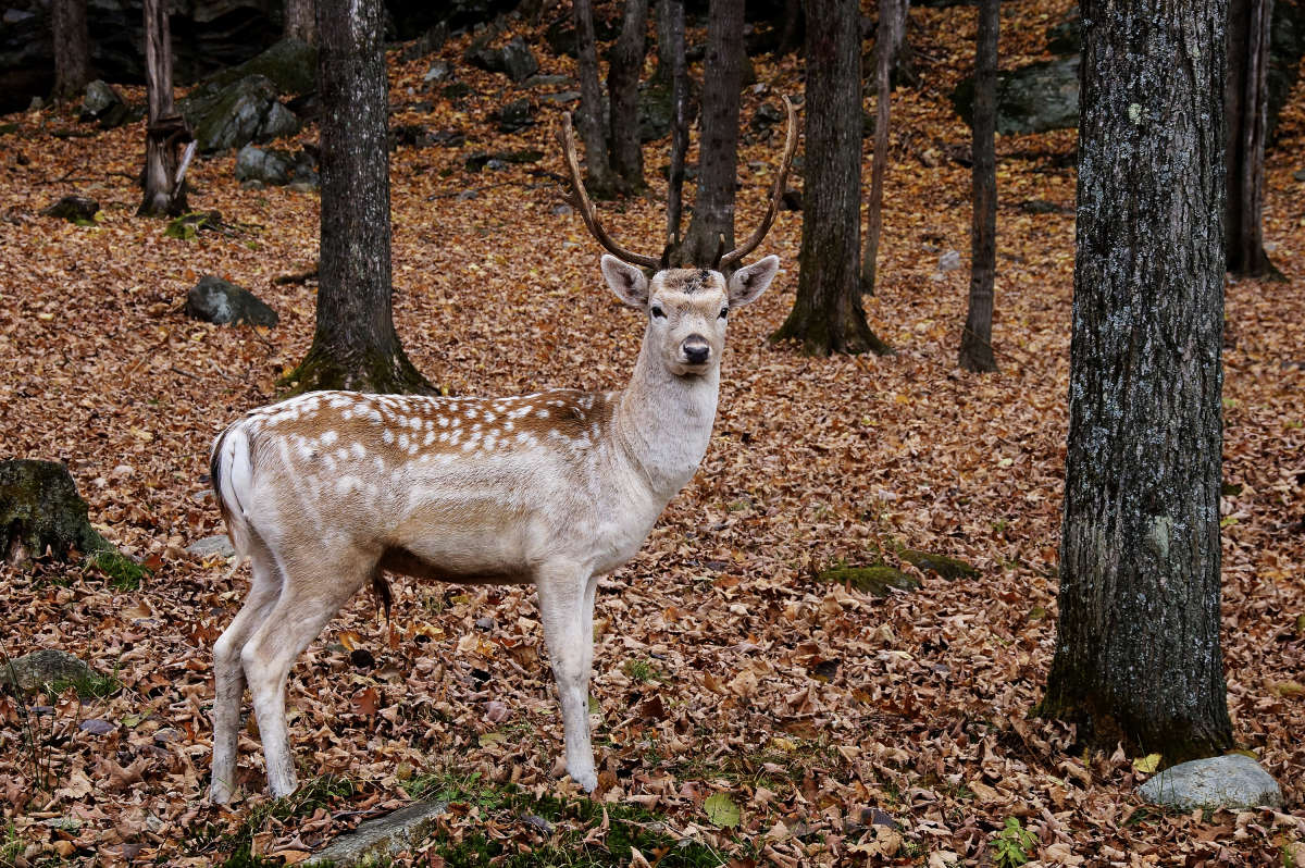 ����������� ����� �������  �� PhotoGeek.ru #�������� ���