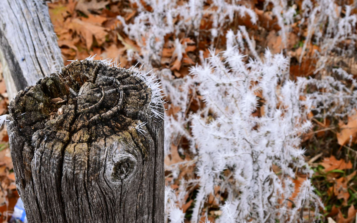 �� ����, �� � ������� ����� �������  �� PhotoGeek.ru #������ ��� �������