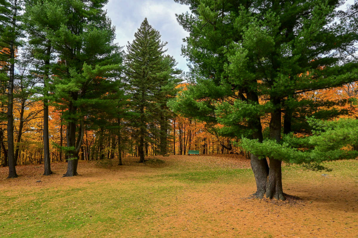 �������� ������ ����� �������  �� PhotoGeek.ru #������ ��� �������