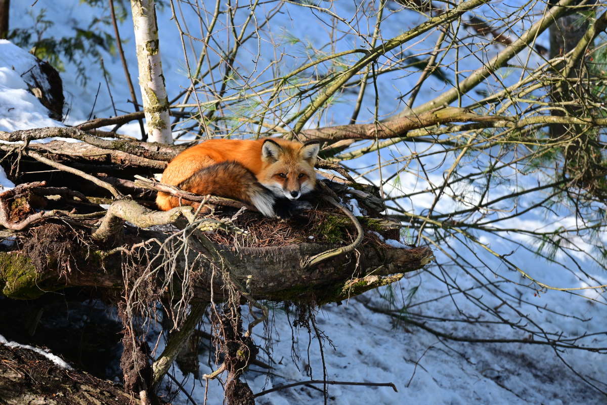 �������� ��� ����� �������  �� PhotoGeek.ru #�������� ���