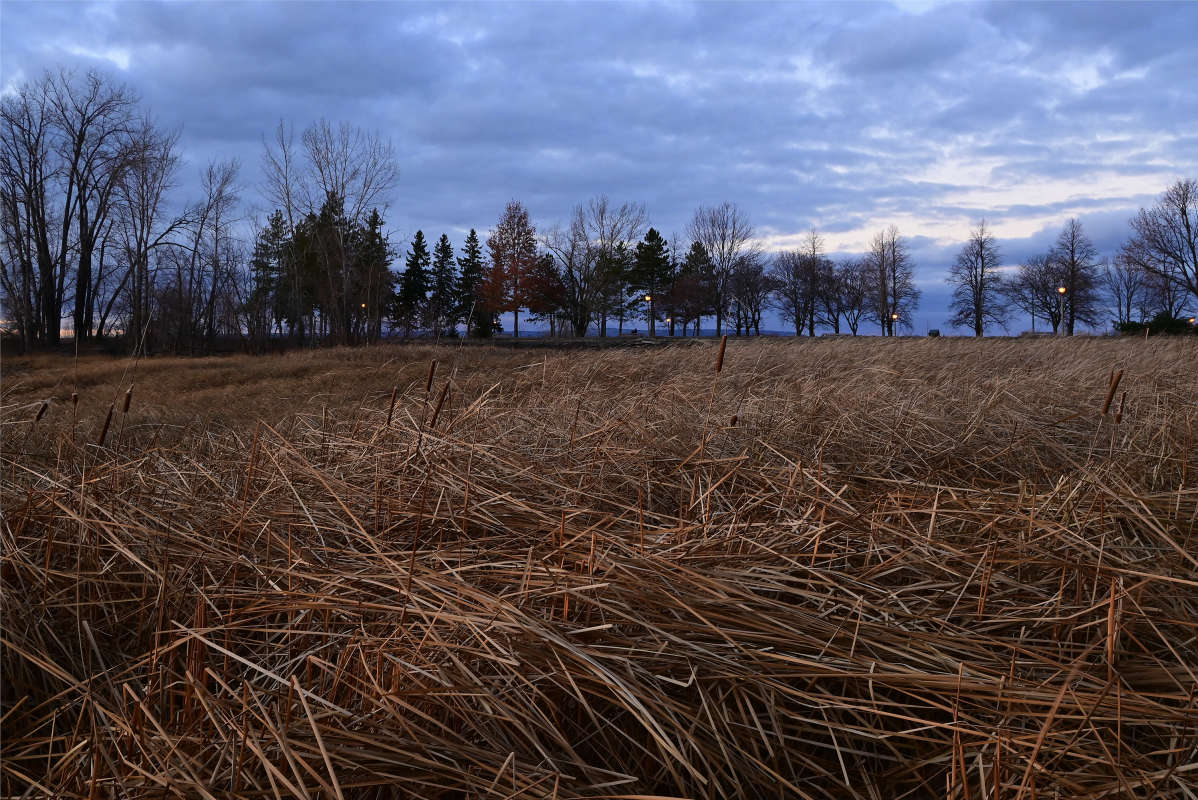 �� ��� �������� ����� �������  �� PhotoGeek.ru #������ ��� �������