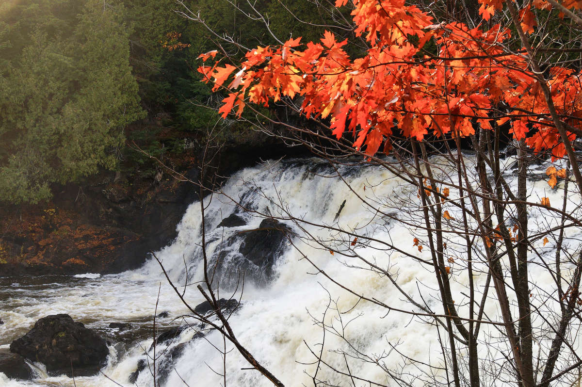 ������ ����� ����� �������  �� PhotoGeek.ru #������ ��� �������