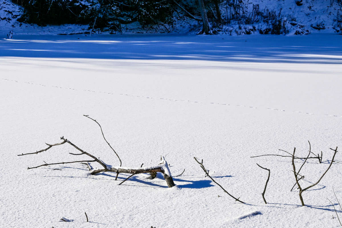 ��� � ����� ������ ����� �������  �� PhotoGeek.ru #������ ��� �������