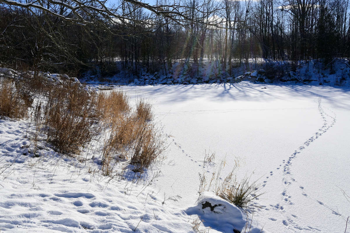 �������� �� ���������� ���� ����� �������  �� PhotoGeek.ru #������ ��� �������