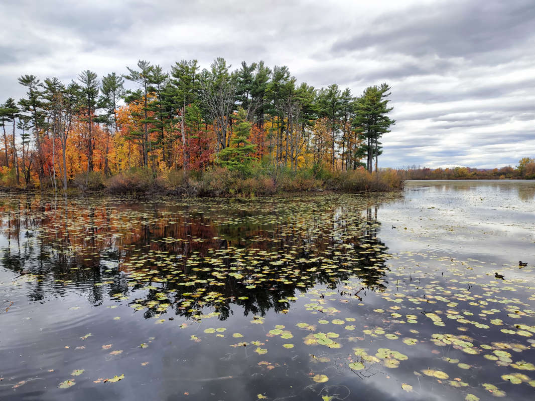 ��� ����� ����� ������� ����� �������  �� PhotoGeek.ru #������ ��� �������